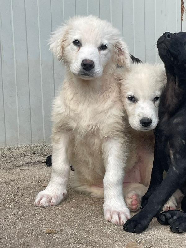 LA SPLENDIDA FREYA Foto 5