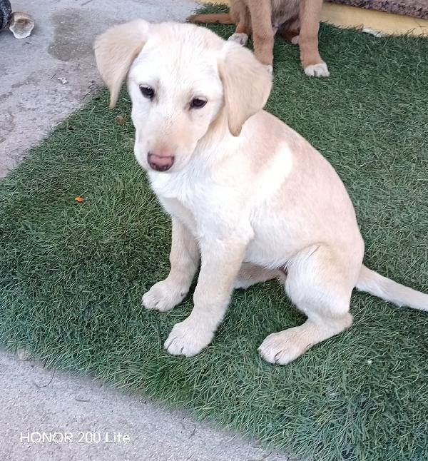 Clara.💕💕💕💕💕