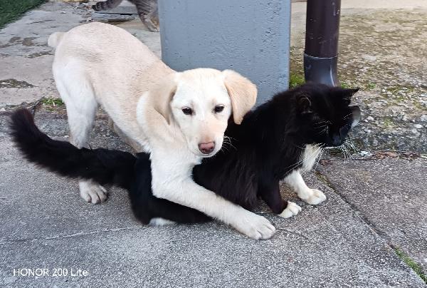 Clara.💕💕💕💕💕 Foto 3