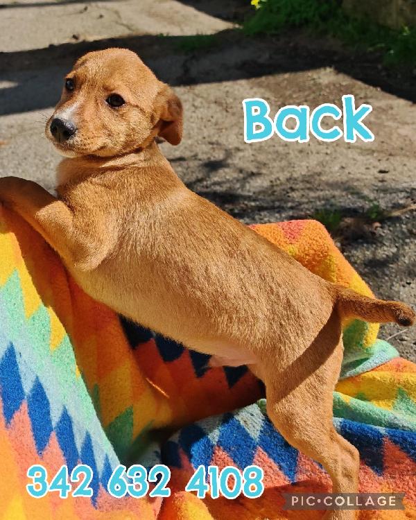 Back..splendido 2 E1/2 Mesi