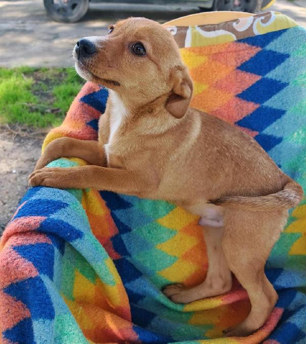 Back..splendido 2 e1/2 mesi Foto 2