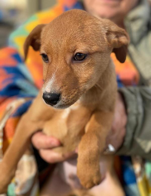 Back..splendido 2 e1/2 mesi Foto 4