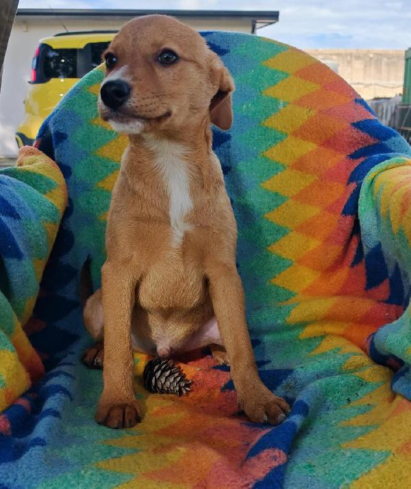 Back..splendido 2 e1/2 mesi Foto 6