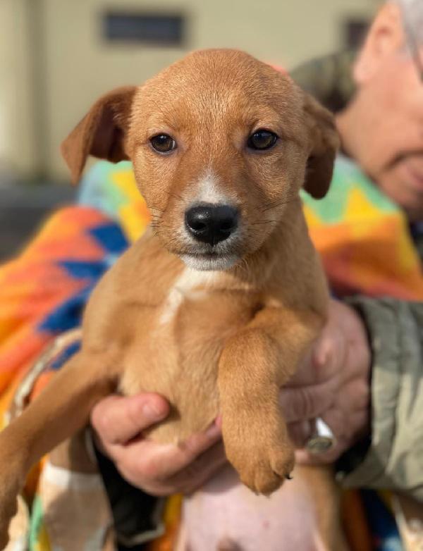 Back..splendido 2 e1/2 mesi Foto 7