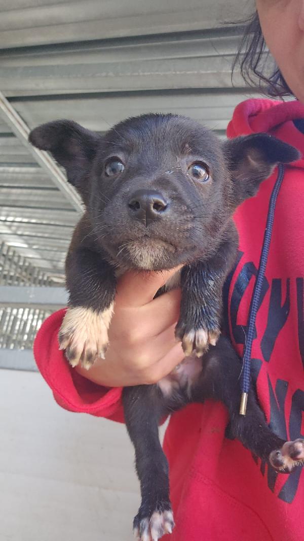 Lipari: 2 mesi taglia contenuta  Foto 2