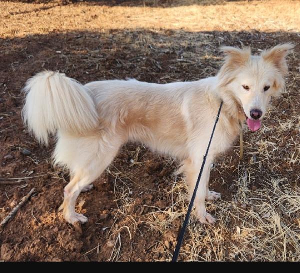 Vera 3Anni Vive In 1Garage Con 1Figlio! Cosenza