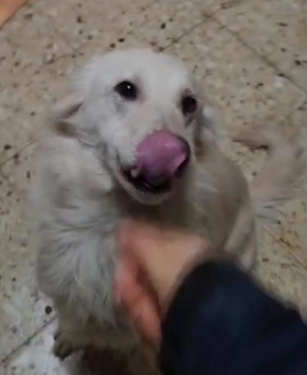 Vera 3anni vive in 1garage con 1figlio! COSENZA Foto 5