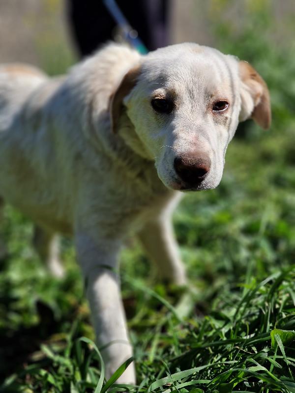 Yago Aspetta Una Mamma 