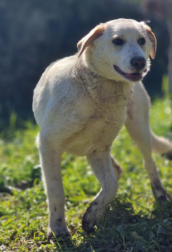 YAGO ASPETTA UNA MAMMA  Foto 2