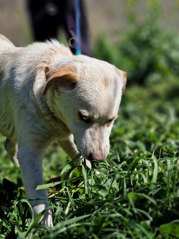 YAGO ASPETTA UNA MAMMA  Foto 3
