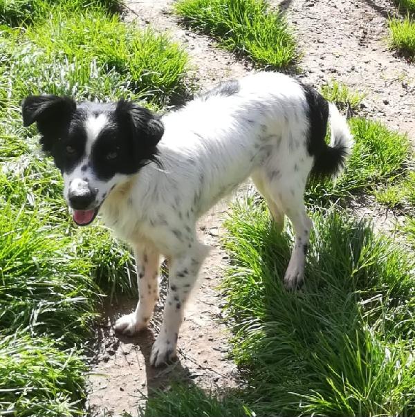 Timmy Taglia Piccola 