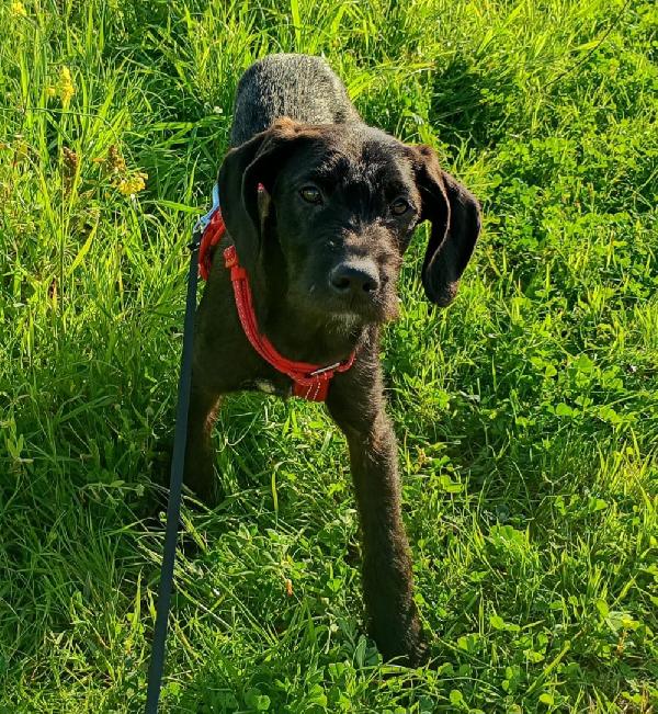 SYRIA ASPETTA UNA MAMMA  Foto 3