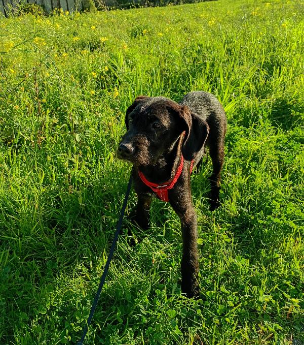 SYRIA ASPETTA UNA MAMMA  Foto 4