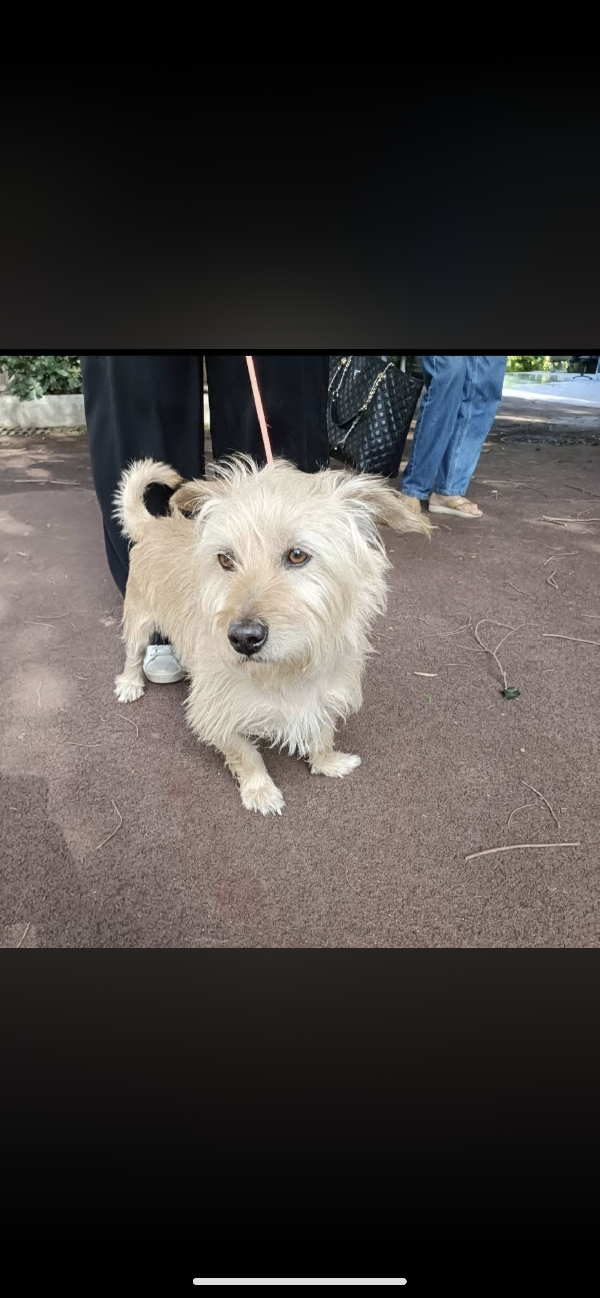 Chicco taglia piccola  Foto 2