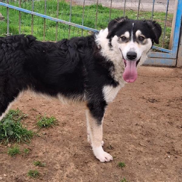 Bretzel🌸🌸 Foto 3