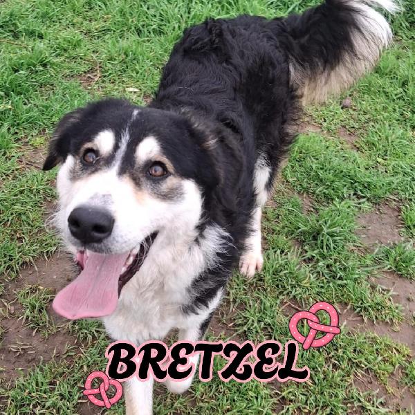 Bretzel 8 Mesi Di Amore