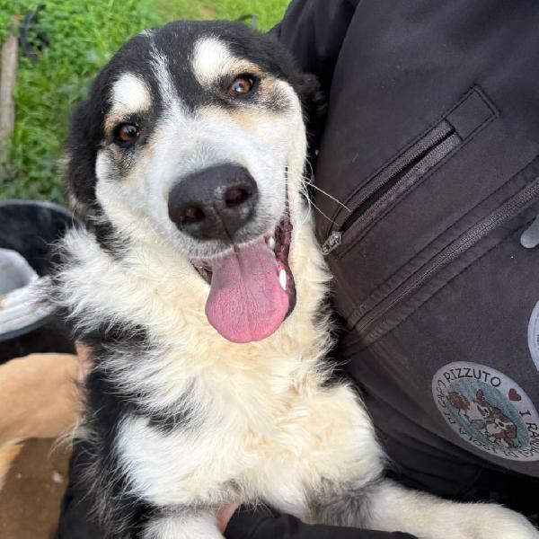 Bretzel 8 mesi di amore Foto 4