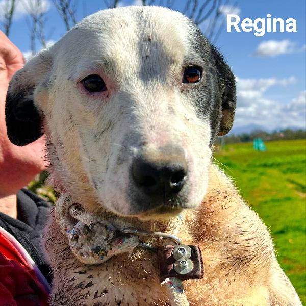 Regina-Rosa-Roberta Foto 2