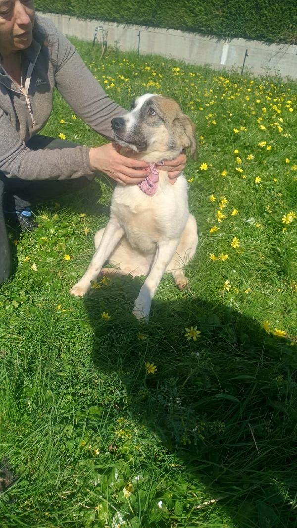 Ambra bellissima ❤️ Foto 2