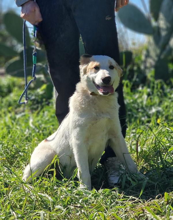 Moockie Aspetta Una Mamma 