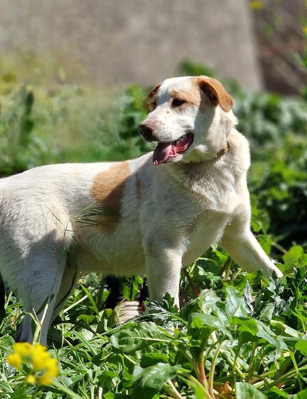 MOOCKIE ASPETTA UNA MAMMA  Foto 2