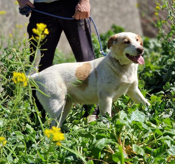 MOOCKIE ASPETTA UNA MAMMA  Foto 3
