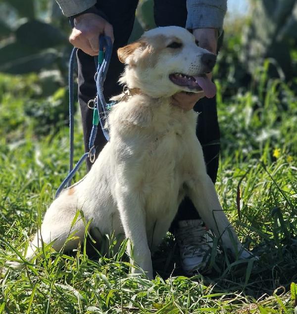 MOOCKIE ASPETTA UNA MAMMA  Foto 4