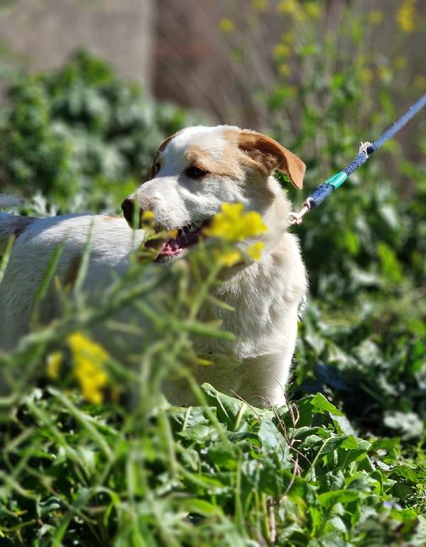 MOOCKIE ASPETTA UNA MAMMA  Foto 5