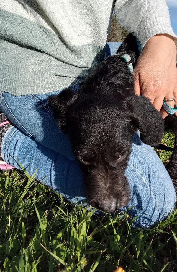 SOLE MIX SPINONCINO  Foto 5