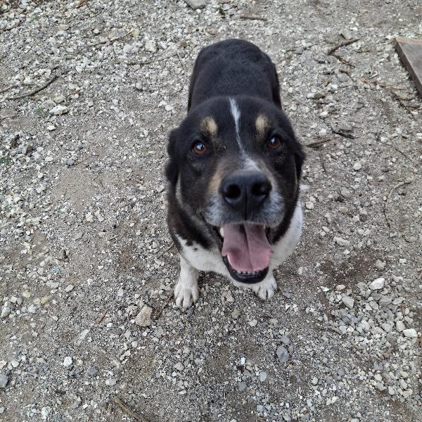 Franz tg media  Foto 4