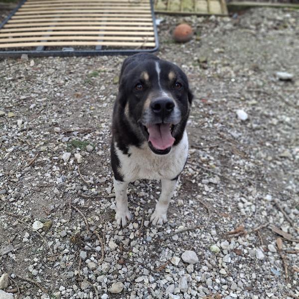 Franz tg media  Foto 5