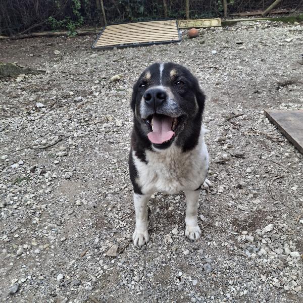 Franz tg media  Foto 6