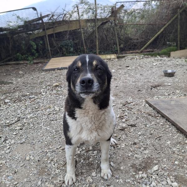 Franz tg media  Foto 7