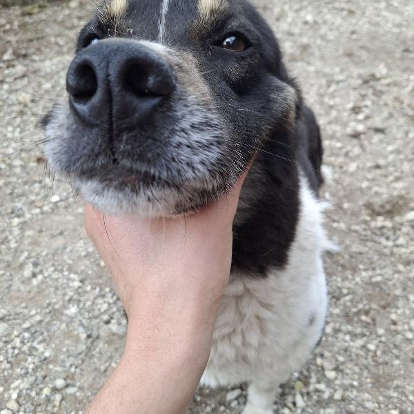 Franz tg media  Foto 8