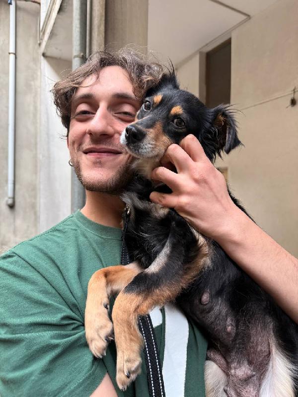 Betta, 2 anni 7 kg Foto 6