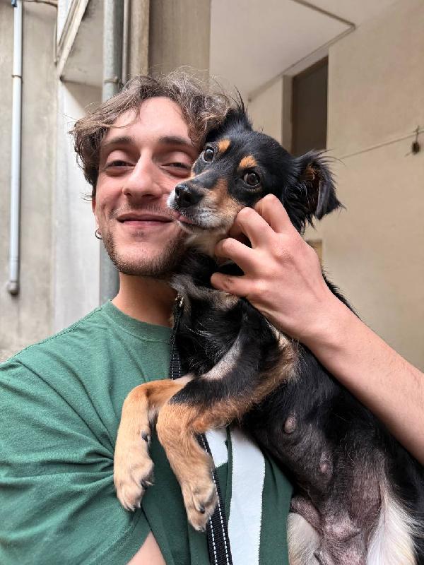 Betta, 2 anni 7 kg Foto 8