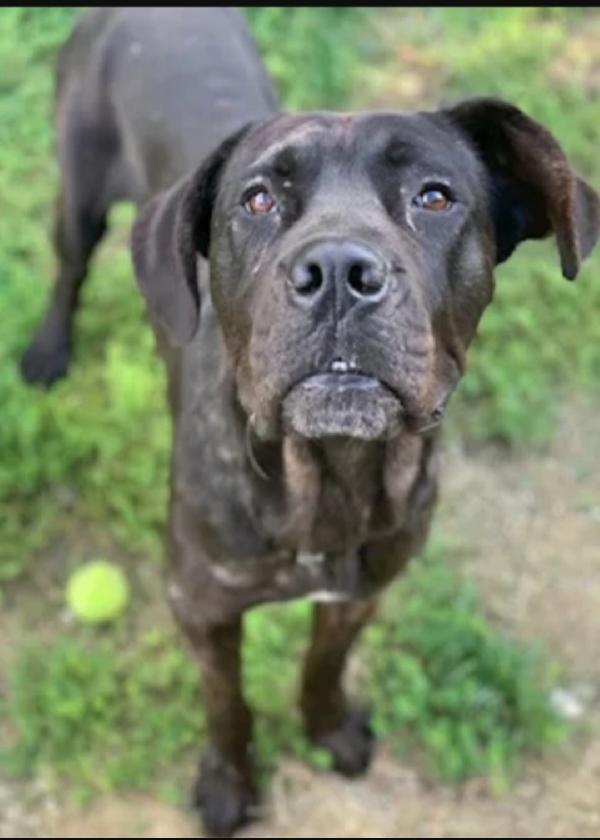 Corso 4anni dal balcone al rifugio 2anni fa.FIRENZE Foto 3