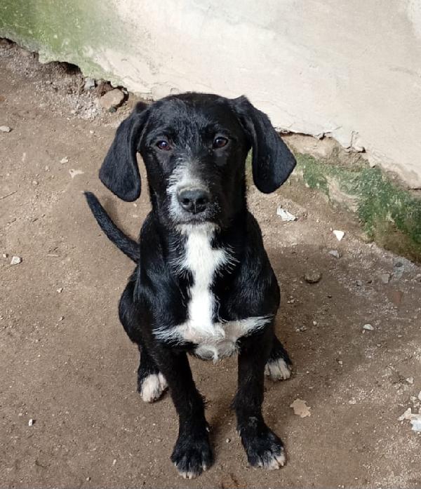 LUNA MIX SPINONCINA  Foto 5