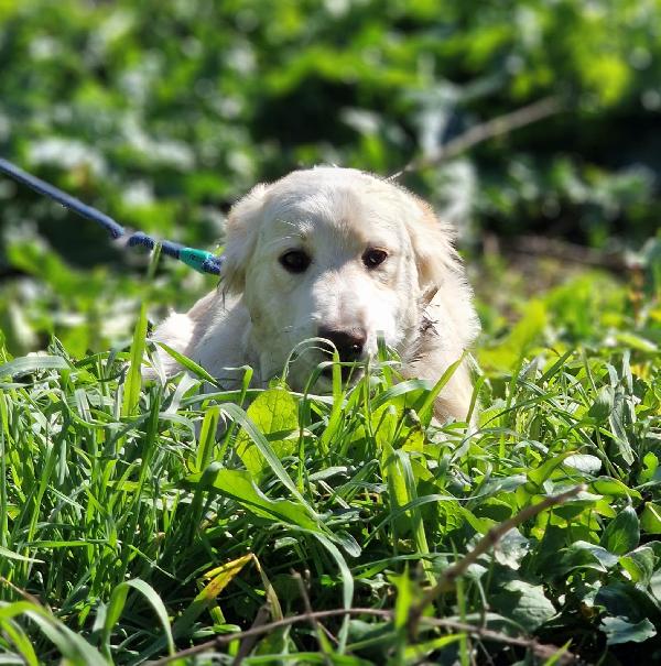 Taco Aspetta Una Mamma 