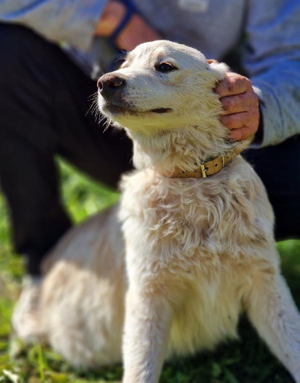 TACO ASPETTA UNA MAMMA  Foto 2