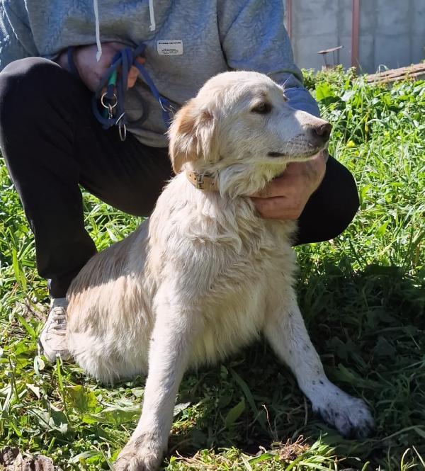 TACO ASPETTA UNA MAMMA  Foto 3