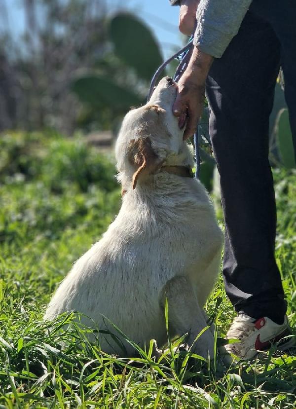 TACO ASPETTA UNA MAMMA  Foto 4
