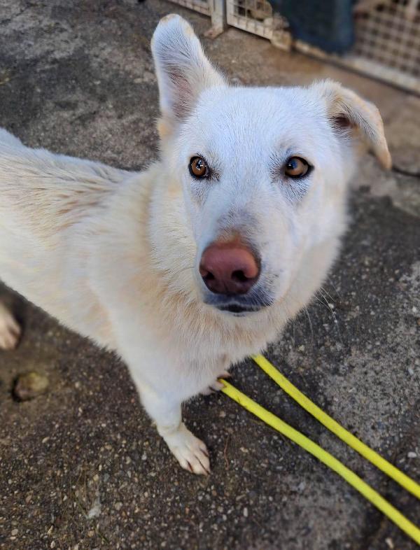 Luna, 10 mesi Foto 2