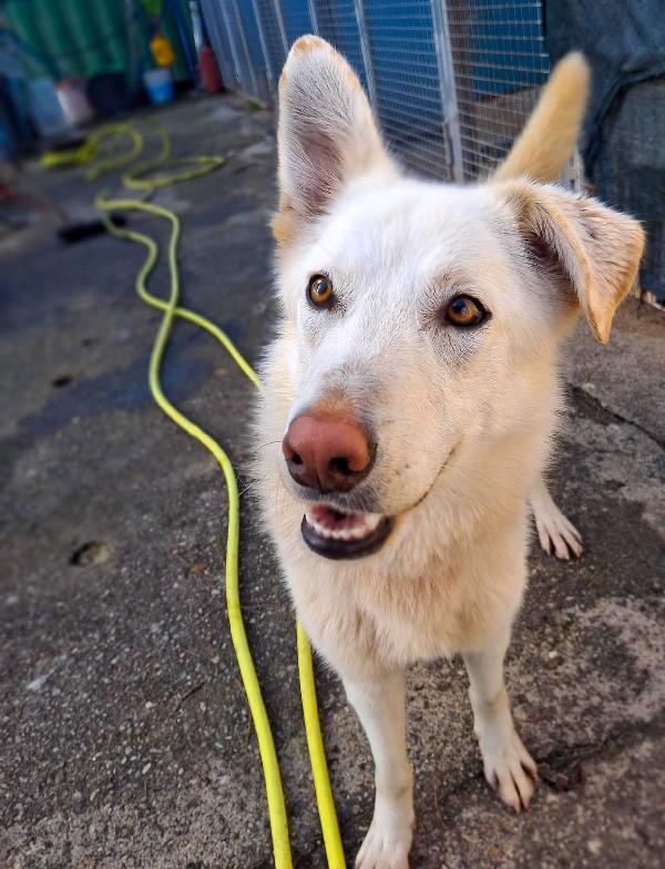 Luna, 10 mesi Foto 3