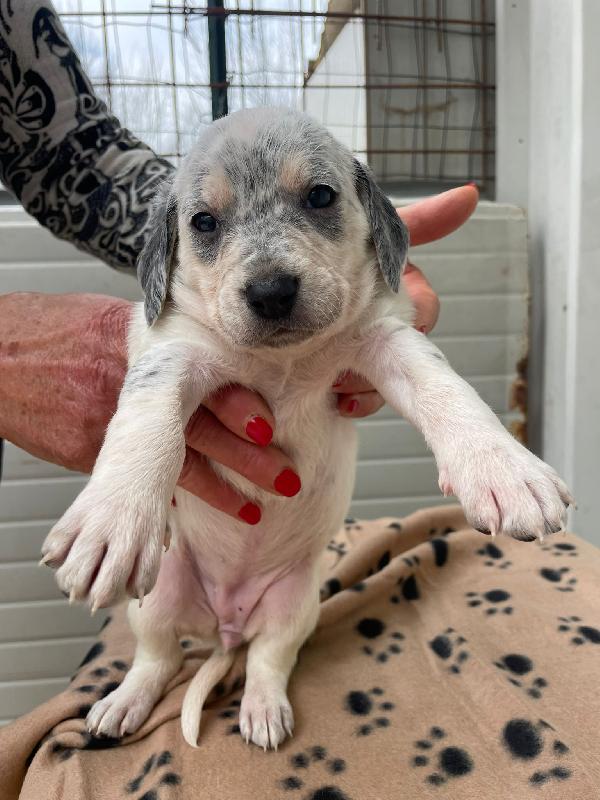 HALLEY SIRYA CELIA ELETTRA SELENE CLEMENTINA Foto 5