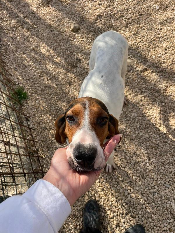 HALLEY SIRYA CELIA ELETTRA SELENE CLEMENTINA Foto 6