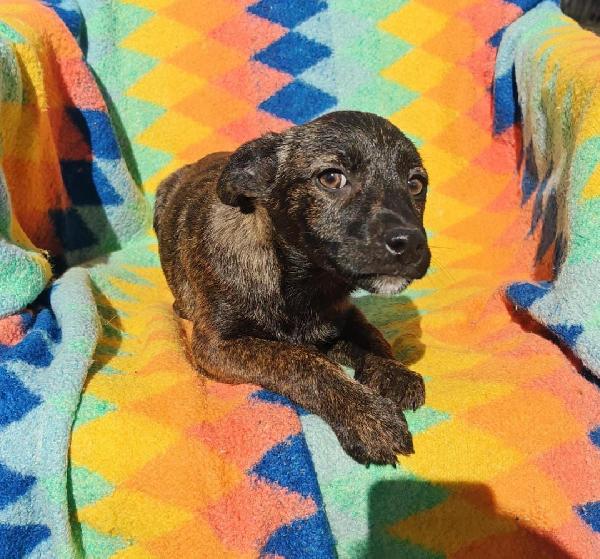 Margot 25/11/2025 Foto 2