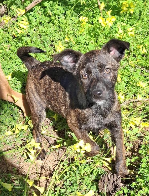 Margot 25/11/2025 Foto 7