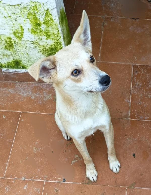 BRICIOLA TAGLIA PICCOLA  Foto 2