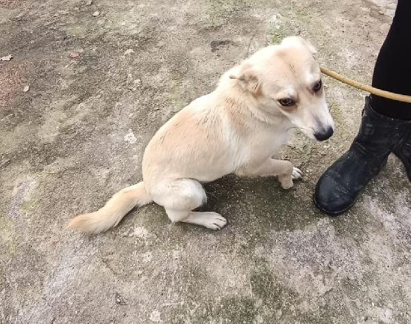 BRICIOLA TAGLIA PICCOLA  Foto 3